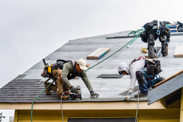 Professional Storm Damage Roof Repair technician working in Enon, OH